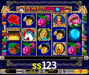 VIP Casino ss123